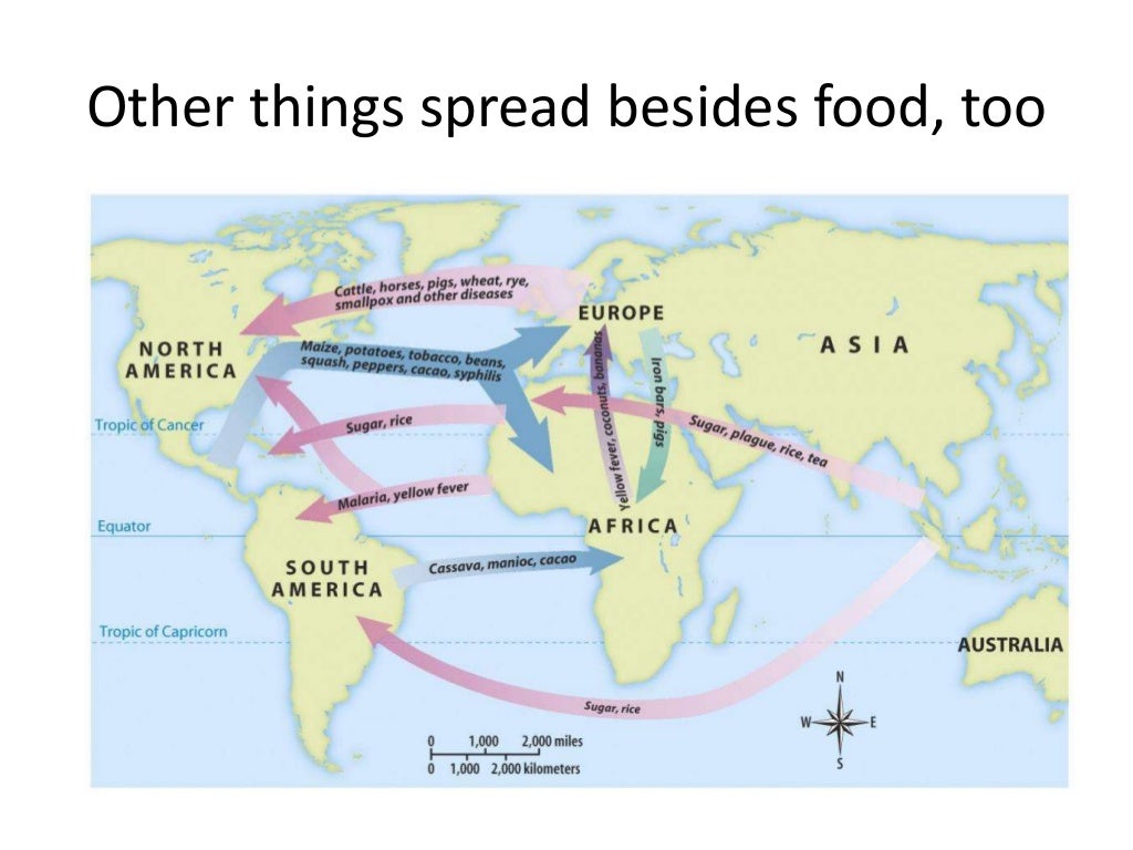The columbian exchange
