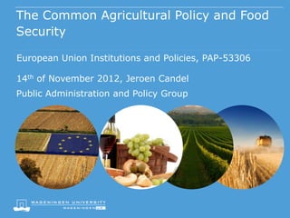 The Common Agricultural Policy and Food
Security

European Union Institutions and Policies, PAP-53306

14th of November 2012, Jeroen Candel
Public Administration and Policy Group
 