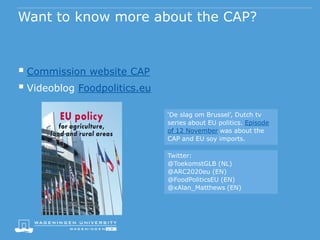 The common agricultural policy and food security | PPTX