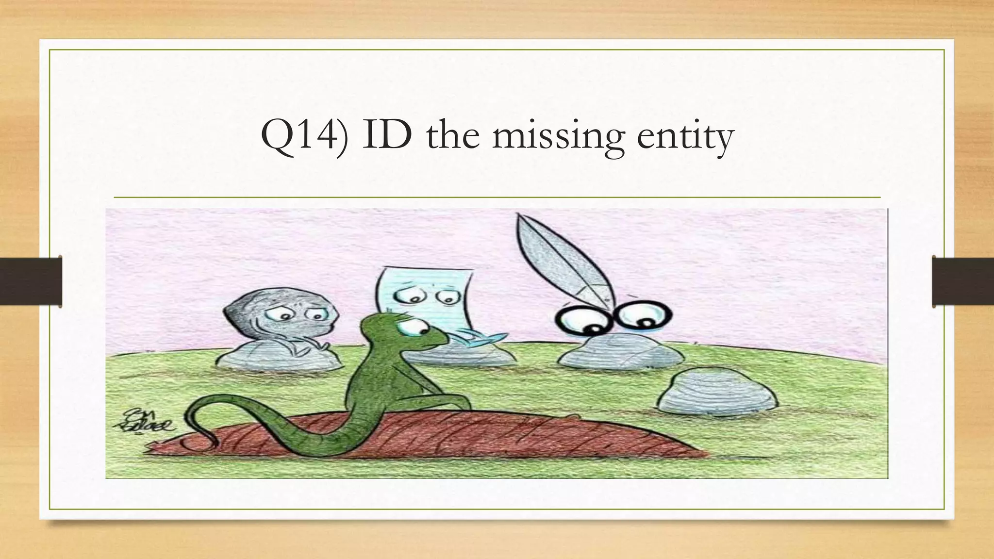 Q14) ID the missing entity
 