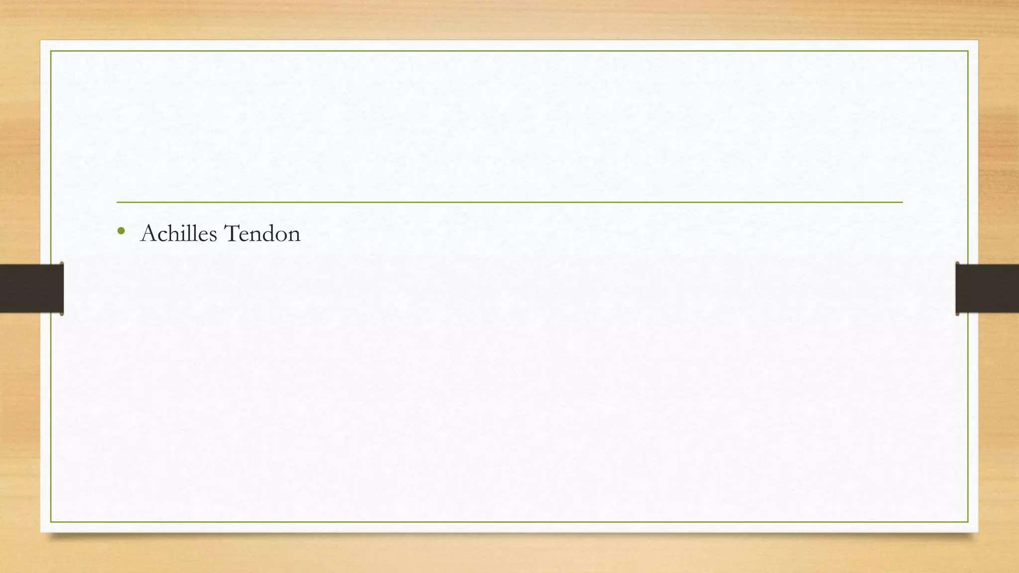 • Achilles Tendon
 