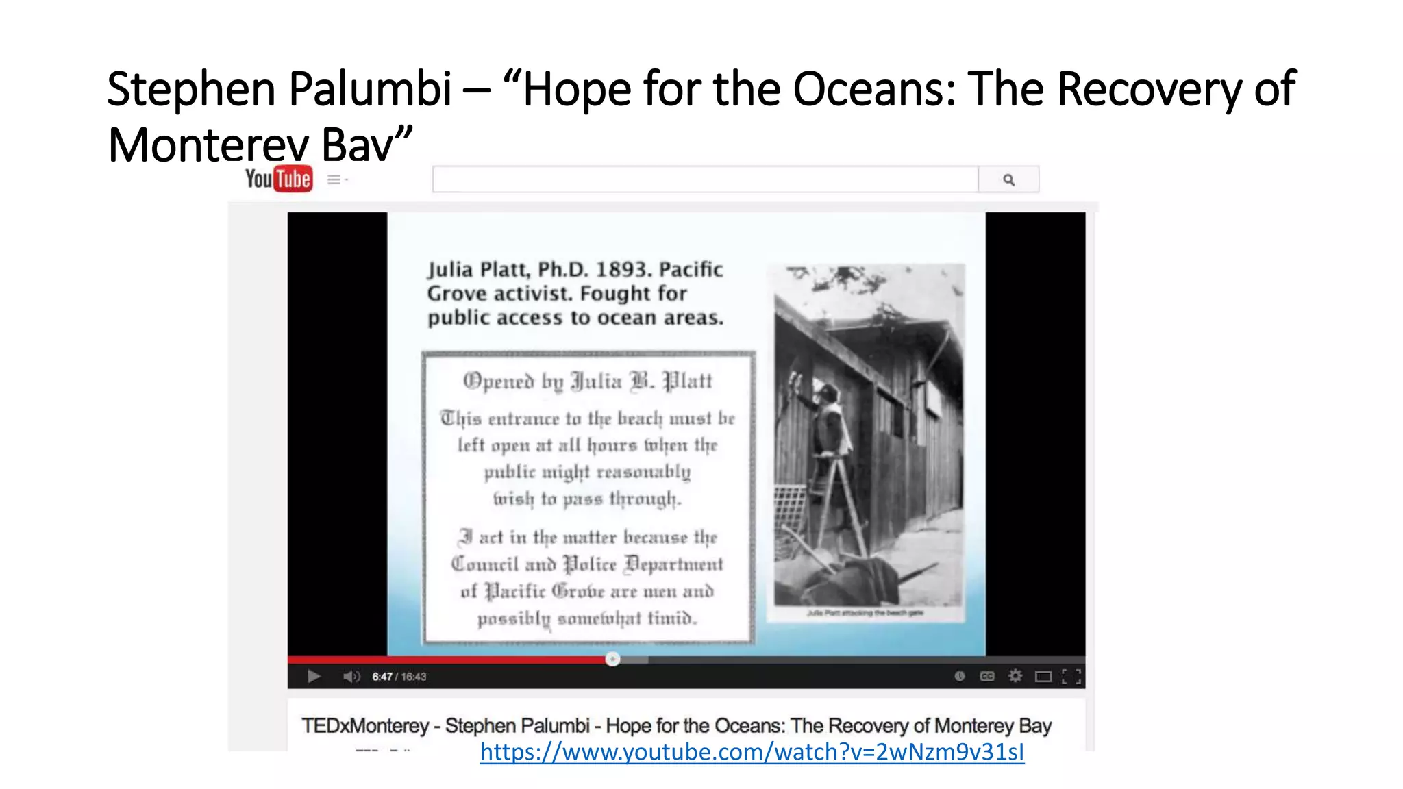 Stephen Palumbi – “Hope for the Oceans: The Recovery of
Monterey Bay”
https://www.youtube.com/watch?v=2wNzm9v31sI
 