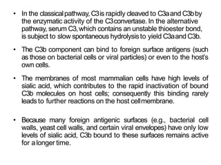 • In the classicalpathway,C3is rapidly cleaved to C3aand C3bby
the enzymatic activity of the C3convertase. In the alternative
pathway, serum C3,which contains an unstable thioester bond,
is subject to slow spontaneous hydrolysisto yield C3aand C3b.
• The C3b component can bind to foreign surface antigens (such
as those on bacterial cells or viral particles) or even to the host’s
own cells.
• The membranes of most mammalian cells have high levels of
sialic acid, which contributes to the rapid inactivation of bound
C3b molecules on host cells; consequently this binding rarely
leads to further reactions on the host cellmembrane.
• Because many foreign antigenic surfaces (e.g., bacterial cell
walls, yeast cell walls, and certain viral envelopes) have only low
levels of sialic acid, C3b bound to these surfaces remains active
for alonger time.
 