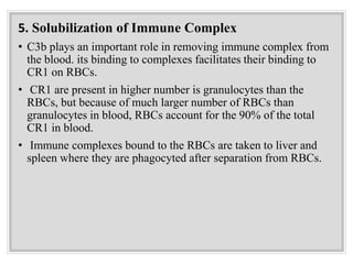 5. Solubilization of Immune Complex
• C3b plays an important role in removing immune complex from
the blood. its binding to complexes facilitates their binding to
CR1 on RBCs.
• CR1 are present in higher number is granulocytes than the
RBCs, but because of much larger number of RBCs than
granulocytes in blood, RBCs account for the 90% of the total
CR1 in blood.
• Immune complexes bound to the RBCs are taken to liver and
spleen where they are phagocyted after separation from RBCs.
 