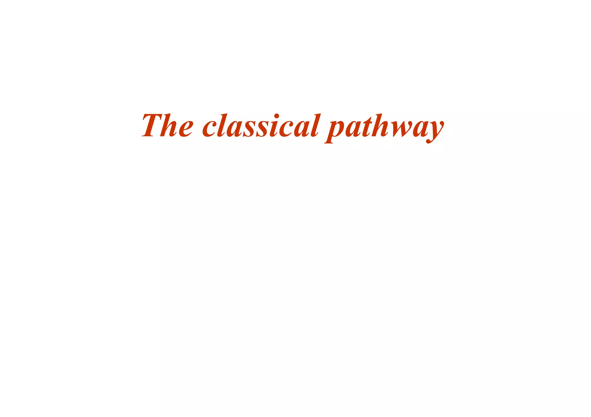 The classical pathway
 