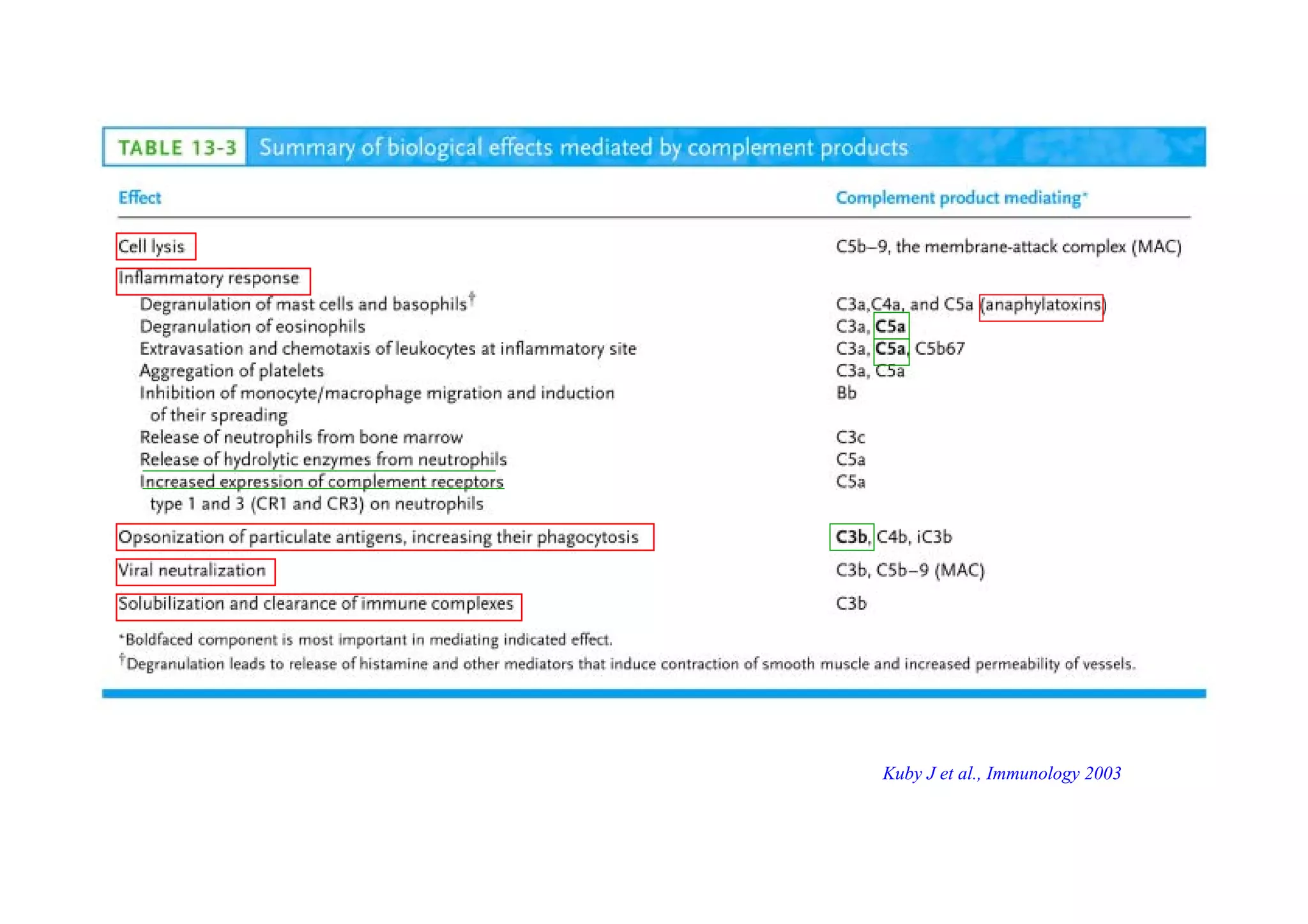 Kuby J et al., Immunology 2003
 