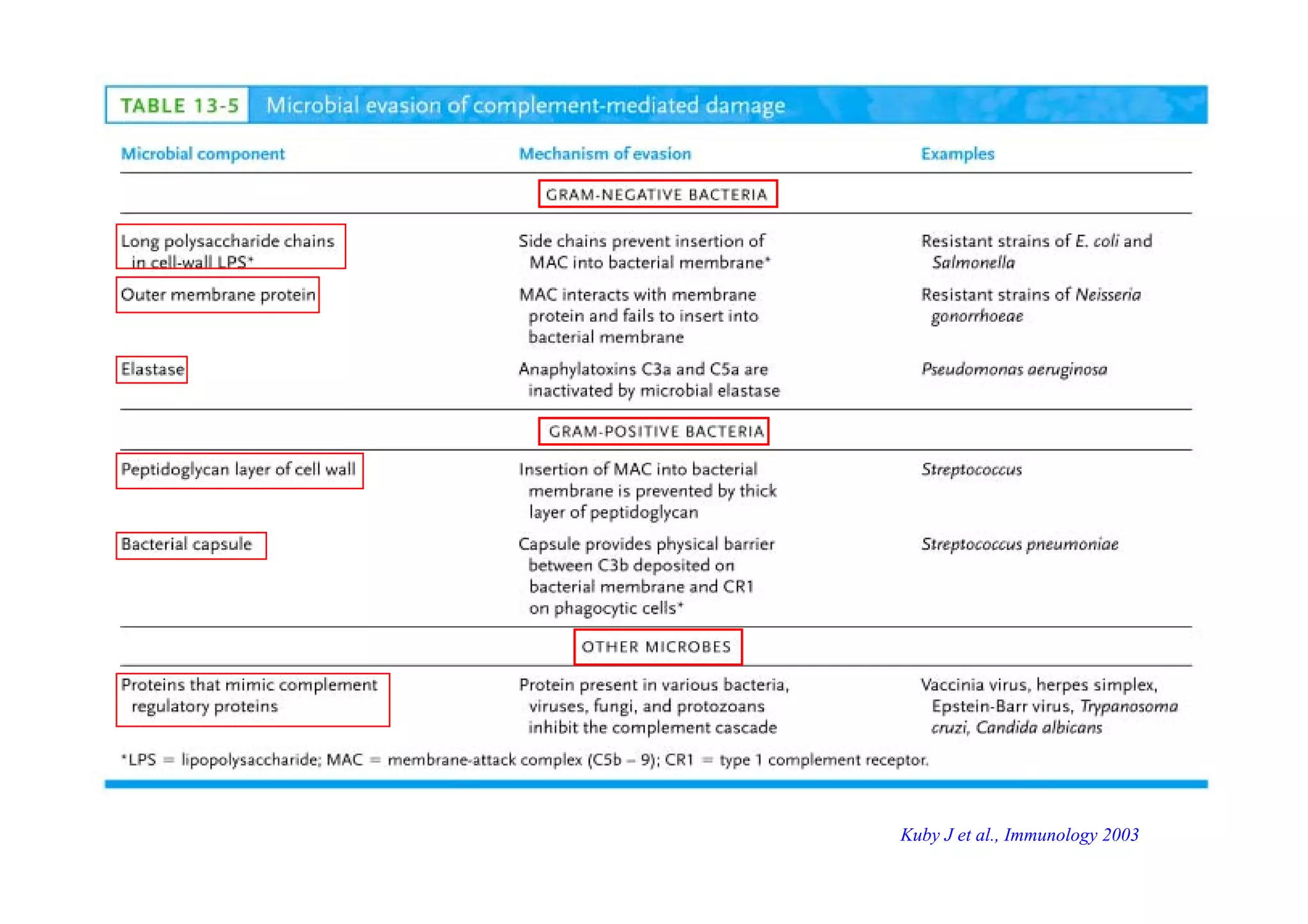 Kuby J et al., Immunology 2003
 