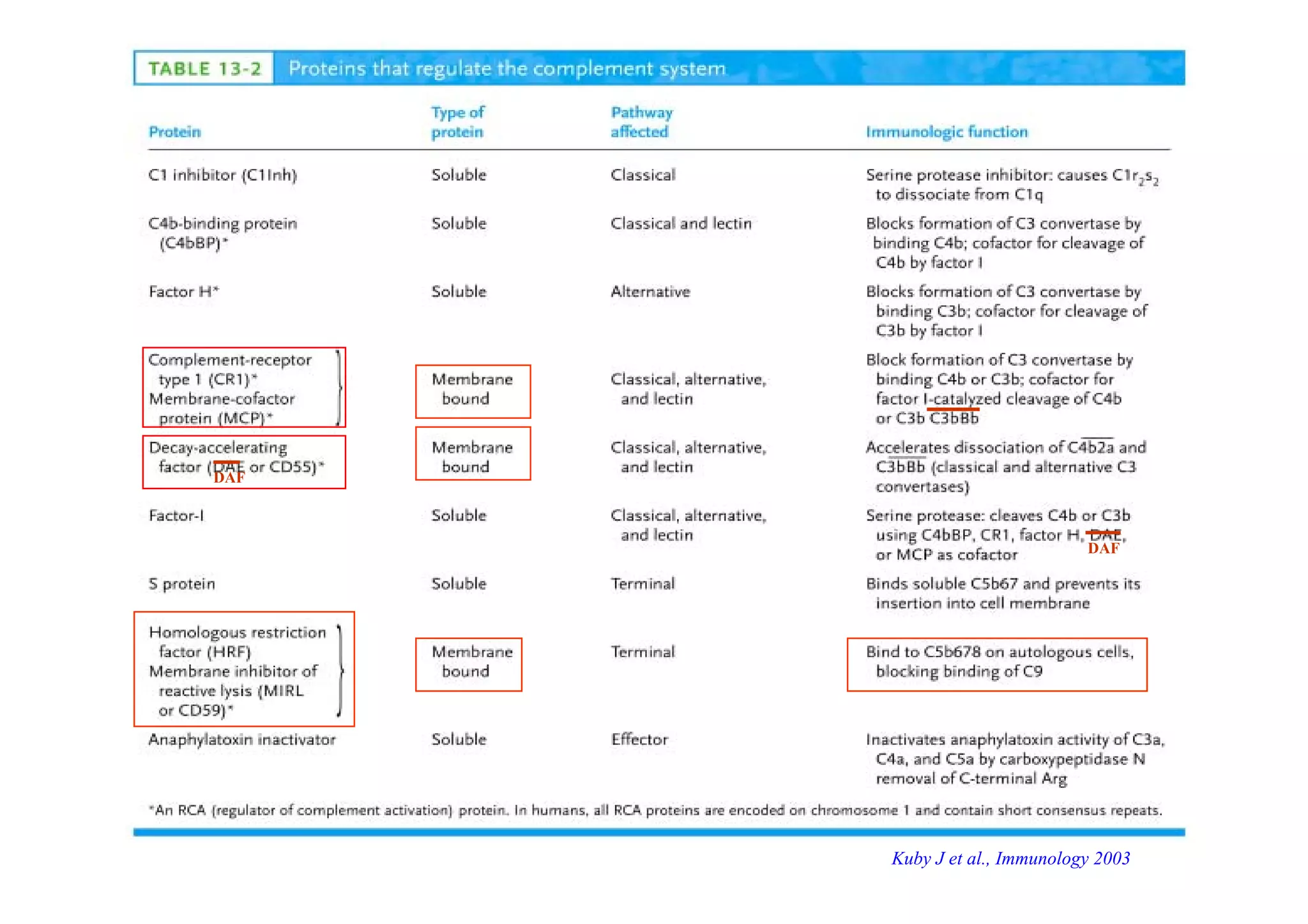 DAF
DAF
Kuby J et al., Immunology 2003
 