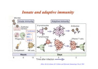 The Complement System | PDF