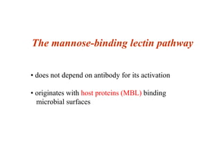 The mannose-binding lectin pathway
• does not depend on antibody for its activation
• originates with host proteins (MBL) ...