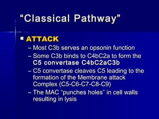 ““CCllaassssiiccaall PPaatthhwwaayy”” 
 AATTTTAACCKK 
– MMoosstt CC33bb sseerrvveess aann ooppssoonniinn ffuunnccttiioonn 
– SSoommee CC33bb bbiinnddss ttoo CC44bbCC22aa ttoo ffoorrmm tthhee 
CC55 ccoonnvveerrttaassee CC44bbCC22aaCC33bb 
– CC55 ccoonnvveerrttaassee cclleeaavveess CC55 lleeaaddiinngg ttoo tthhee 
ffoorrmmaattiioonn ooff tthhee MMeemmbbrraannee aattttaacckk 
CCoommpplleexx ((CC55--CC66--CC77--CC88--CC99)) 
– TThhee MMAACC ““ppuunncchheess hhoolleess”” iinn cceellll wwaallllss 
rreessuullttiinngg iinn llyyssiiss 
 