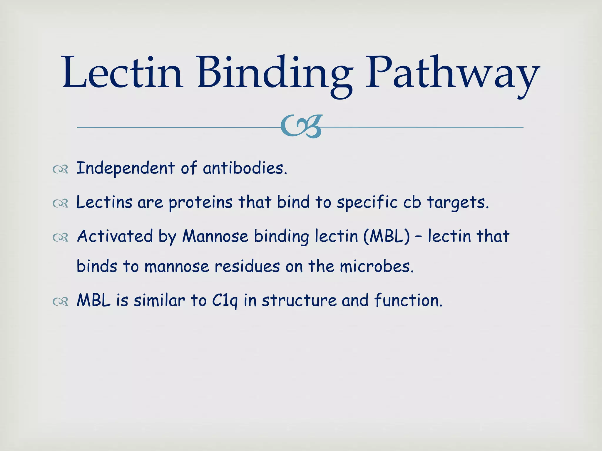 
 Independent of antibodies.
 Lectins are proteins that bind to specific cb targets.
 Activated by Mannose binding lectin (MBL) – lectin that
binds to mannose residues on the microbes.
 MBL is similar to C1q in structure and function.
Lectin Binding Pathway
 