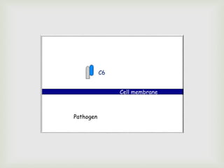 C6
Cell membrane
Pathogen
 