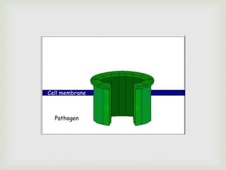 Cell membrane
Pathogen
 