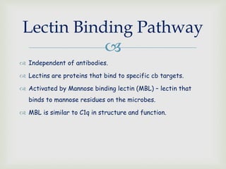 
 Independent of antibodies.
 Lectins are proteins that bind to specific cb targets.
 Activated by Mannose binding lectin (MBL) – lectin that
binds to mannose residues on the microbes.
 MBL is similar to C1q in structure and function.
Lectin Binding Pathway
 