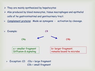  Complement proteins: Made as zymogens - activation by cleavage.
 Example: C4
 Exception: C2: C2a = large fragment
C2b = small fragment
a = smaller fragment
Diffusion & signaling
b= larger fragment.
remains bound to microbe
C4a C4b
 They are mainly synthesized by hepatocytes
 Also produced by blood monocytes, tissue macrophages and epithelial
cells of he gastrointestinal and genitourinary tract.
 