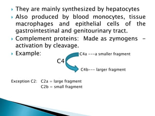  They are mainly synthesized by hepatocytes
 Also produced by blood monocytes, tissue
macrophages and epithelial cells of the
gastrointestinal and genitourinary tract.
 Complement proteins: Made as zymogens -
activation by cleavage.
 Example: C4a ---a smaller fragment
C4
C4b--- larger fragment
Exception C2: C2a = large fragment
C2b = small fragment
 