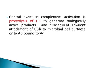  Central event in complement activation is
proteolysis of C3 to generate biologically
active products and subsequent covalent
attachment of C3b to microbial cell surfaces
or to Ab bound to Ag
 