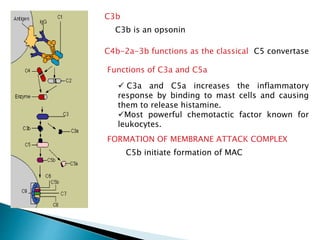 C3b
C3b is an opsonin
C4b-2a-3b functions as the classical C5 convertase
FORMATION OF MEMBRANE ATTACK COMPLEX
Functions of C3a and C5a
 C3a and C5a increases the inflammatory
response by binding to mast cells and causing
them to release histamine.
Most powerful chemotactic factor known for
leukocytes.
C5b initiate formation of MAC
 