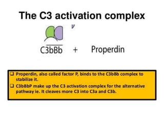 The complement system