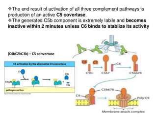 The complement system