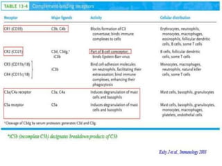 The complement system