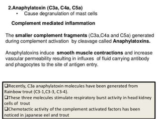 The complement system