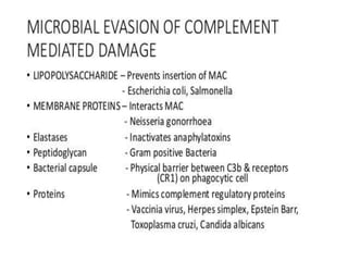 The complement system