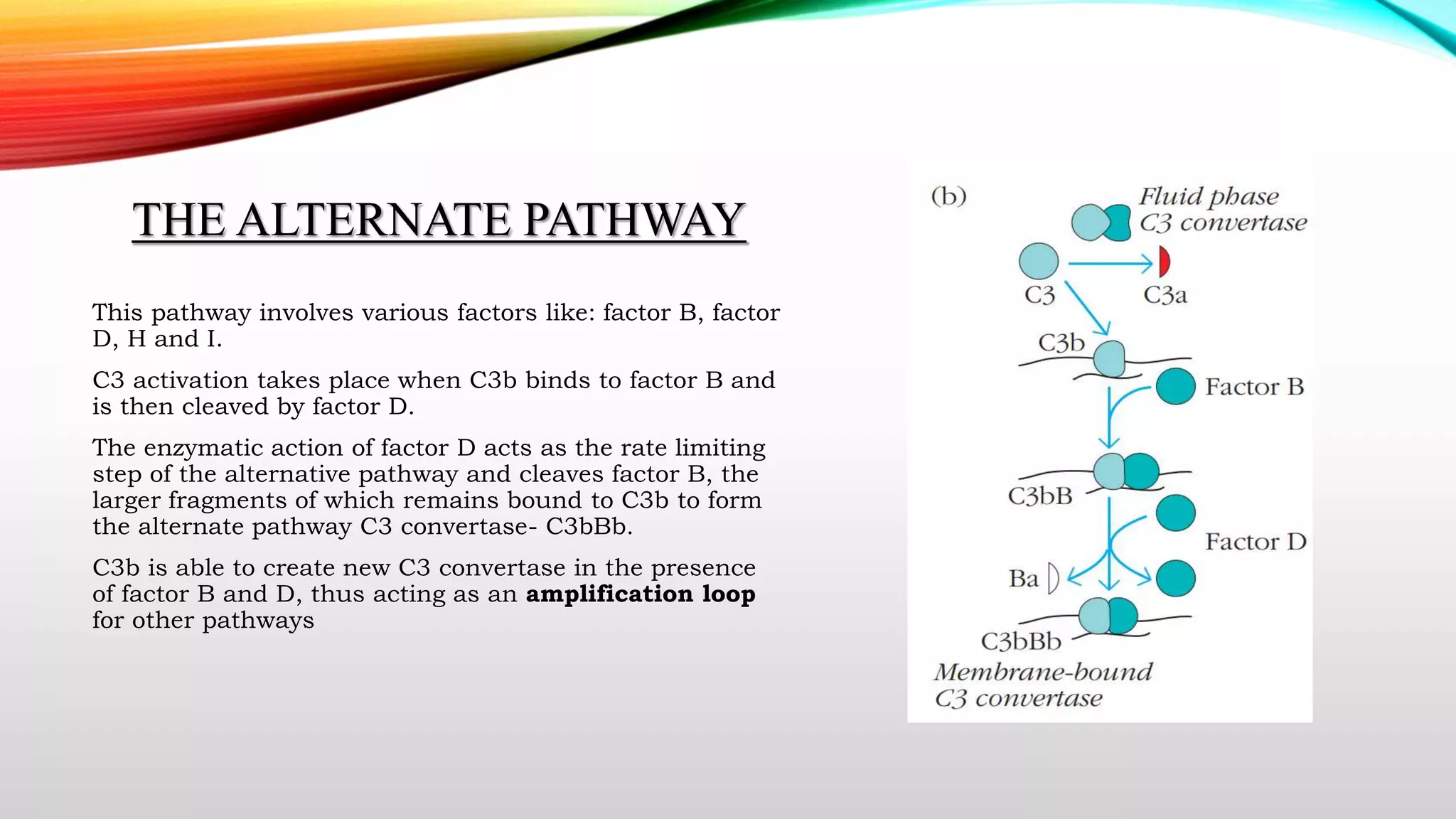 The complement system | PPTX
