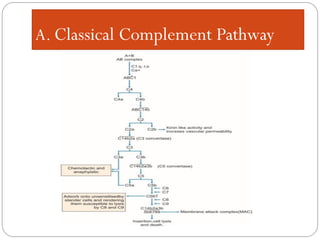 The Complement System and microbiology course | PDF