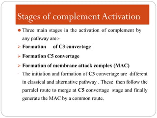 The Complement System and microbiology course | PDF