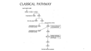 CLASSICAL PATHWAY
6
 