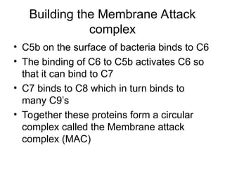The Complement system, it's types, it's mechanism | PPT