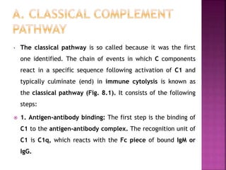 The Complement System lecture 8 chapter 8.pptx