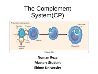 The Complement
System(CP)
Noman Reza
Masters Student
Ehime University
 
