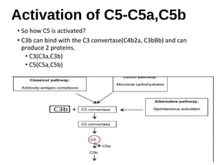 The complement system overview | PPT