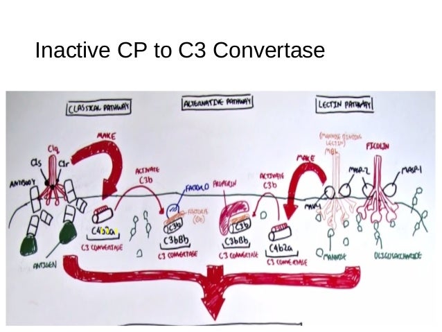 Two's Complement System