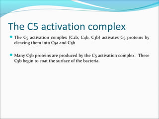 The complement system new | PPT