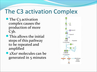 The complement system new | PPT