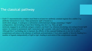 The complement system. the classical pathway of complement activation ...