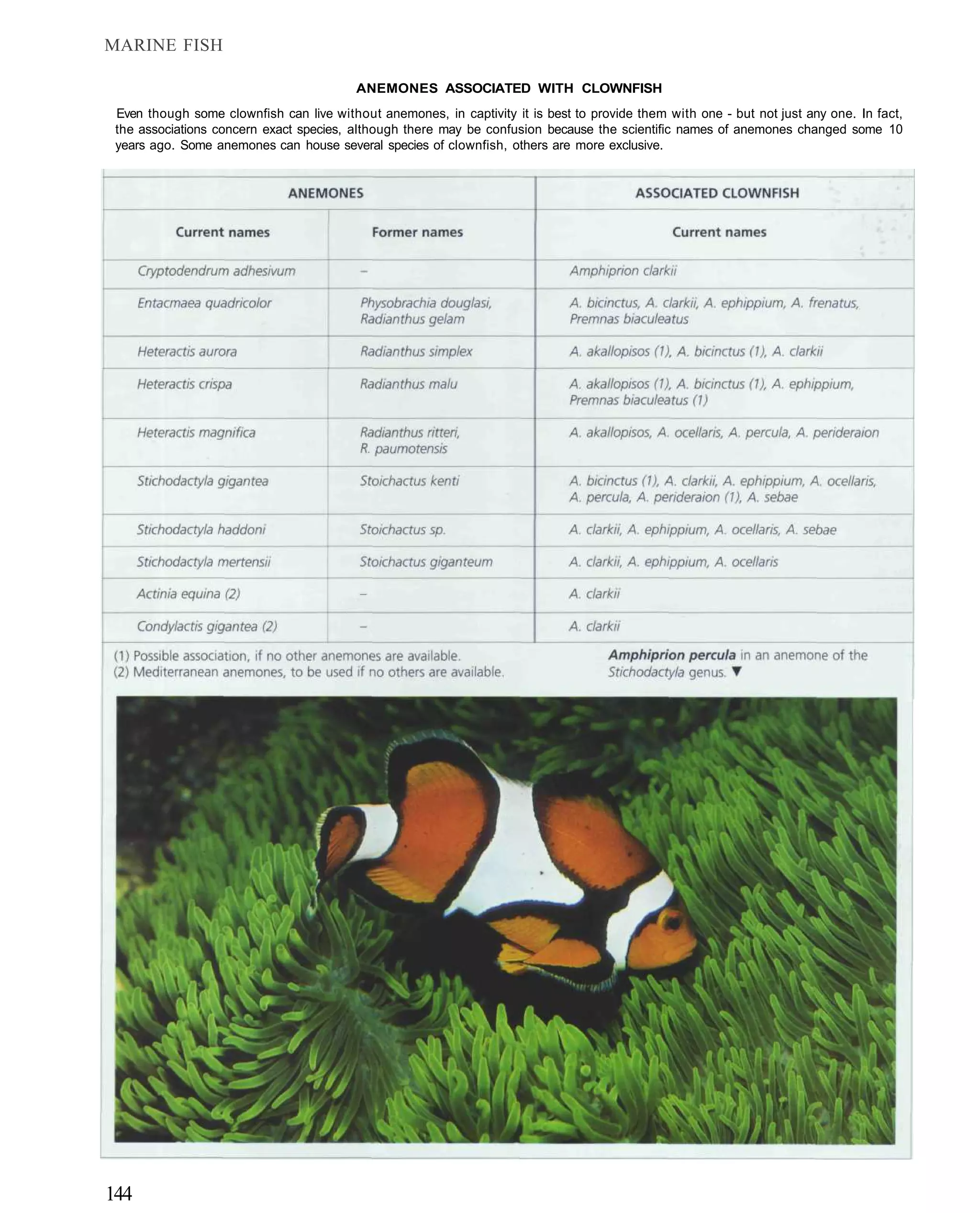 MARINE FISH

                                          ANEMONES ASSOCIATED WITH CLOWNFISH
 Even though some clownfish can live without anemones, in captivity it is best to provide them with one - but not just any one. In fact,
 the associations concern exact species, although there may be confusion because the scientific names of anemones changed some 10
 years ago. Some anemones can house several species of clownfish, others are more exclusive.




144
 