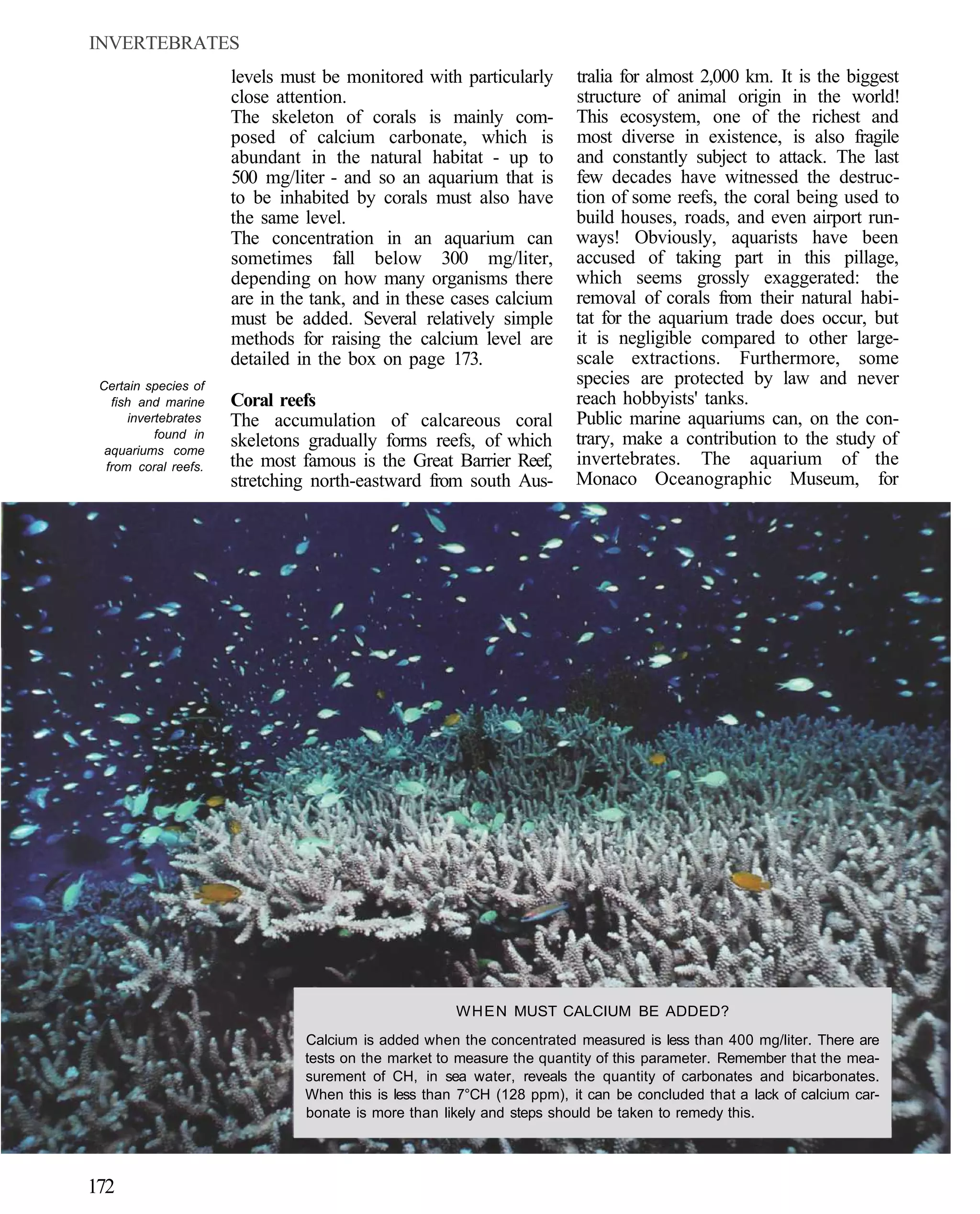 INVERTEBRATES
                      levels must be monitored with particularly       tralia for almost 2,000 km. It is the biggest
                      close attention.                                 structure of animal origin in the world!
                      The skeleton of corals is mainly com-            This ecosystem, one of the richest and
                      posed of calcium carbonate, which is             most diverse in existence, is also fragile
                      abundant in the natural habitat - up to          and constantly subject to attack. The last
                      500 mg/liter - and so an aquarium that is        few decades have witnessed the destruc-
                      to be inhabited by corals must also have         tion of some reefs, the coral being used to
                      the same level.                                  build houses, roads, and even airport run-
                      The concentration in an aquarium can             ways! Obviously, aquarists have been
                      sometimes fall below 300 mg/liter,               accused of taking part in this pillage,
                      depending on how many organisms there            which seems grossly exaggerated: the
                      are in the tank, and in these cases calcium      removal of corals from their natural habi-
                      must be added. Several relatively simple         tat for the aquarium trade does occur, but
                      methods for raising the calcium level are        it is negligible compared to other large-
                      detailed in the box on page 173.                 scale extractions. Furthermore, some
 Certain species of                                                    species are protected by law and never
   fish and marine    Coral reefs                                      reach hobbyists' tanks.
      invertebrates   The accumulation of calcareous coral             Public marine aquariums can, on the con-
           found in                                                    trary, make a contribution to the study of
  aquariums come
                      skeletons gradually forms reefs, of which
  from coral reefs.   the most famous is the Great Barrier Reef,       invertebrates. The aquarium of the
                      stretching north-eastward from south Aus-        Monaco Oceanographic Museum, for




                                                     W H E N MUST CALCIUM BE ADDED?
                               Calcium is added when the concentrated measured is less than 400 mg/liter. There are
                               tests on the market to measure the quantity of this parameter. Remember that the mea-
                               surement of CH, in sea water, reveals the quantity of carbonates and bicarbonates.
                               When this is less than 7°CH (128 ppm), it can be concluded that a lack of calcium car-
                               bonate is more than likely and steps should be taken to remedy this.




172
 