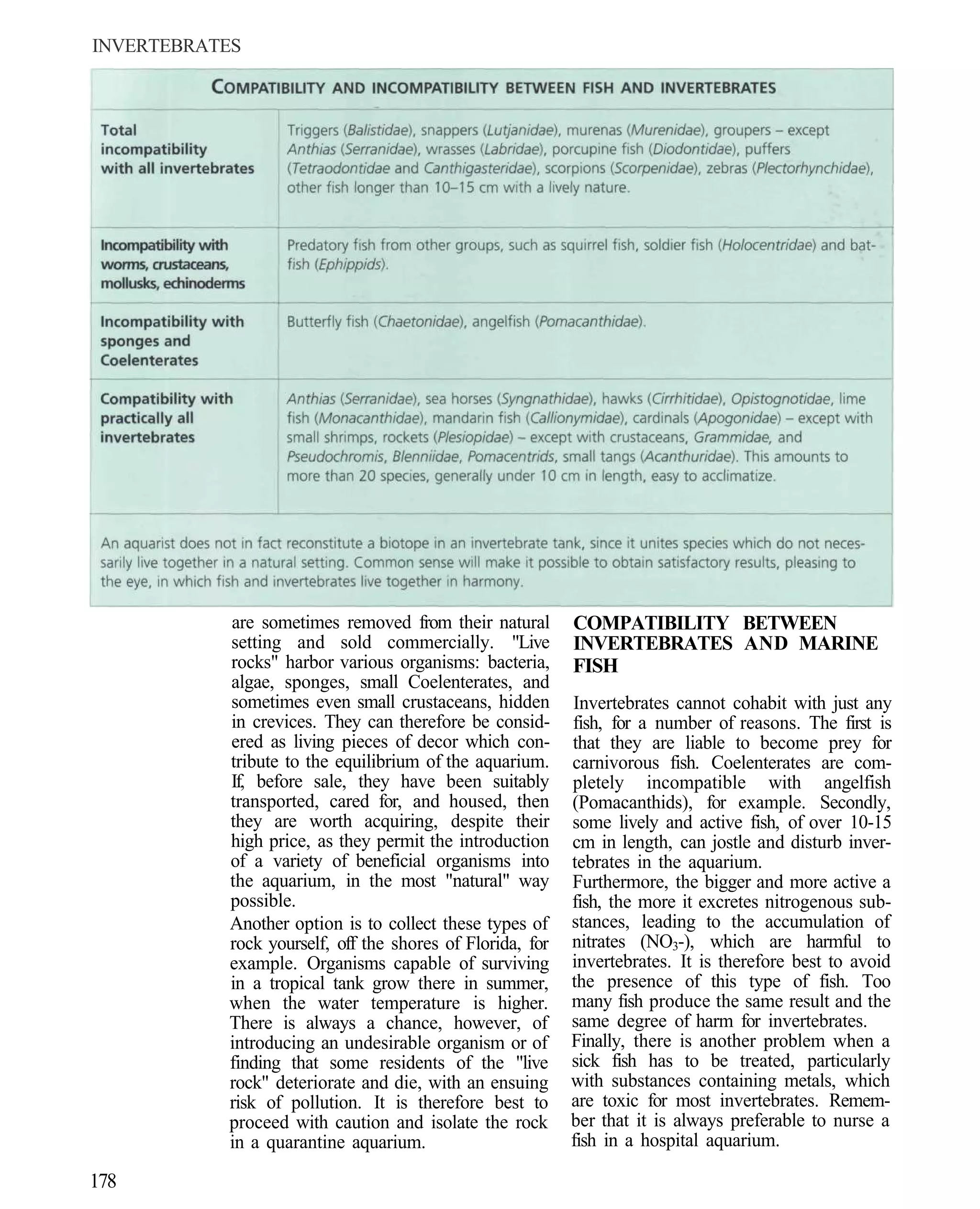 INVERTEBRATES




           are sometimes removed from their natural        COMPATIBILITY BETWEEN
           setting and sold commercially. "Live            INVERTEBRATES AND MARINE
           rocks" harbor various organisms: bacteria,      FISH
           algae, sponges, small Coelenterates, and
           sometimes even small crustaceans, hidden        Invertebrates cannot cohabit with just any
           in crevices. They can therefore be consid-      fish, for a number of reasons. The first is
           ered as living pieces of decor which con-       that they are liable to become prey for
           tribute to the equilibrium of the aquarium.     carnivorous fish. Coelenterates are com-
           If, before sale, they have been suitably        pletely incompatible with angelfish
           transported, cared for, and housed, then        (Pomacanthids), for example. Secondly,
           they are worth acquiring, despite their         some lively and active fish, of over 10-15
           high price, as they permit the introduction     cm in length, can jostle and disturb inver-
           of a variety of beneficial organisms into       tebrates in the aquarium.
           the aquarium, in the most "natural" way         Furthermore, the bigger and more active a
           possible.                                       fish, the more it excretes nitrogenous sub-
           Another option is to collect these types of     stances, leading to the accumulation of
           rock yourself, off the shores of Florida, for   nitrates (NO3-), which are harmful to
           example. Organisms capable of surviving         invertebrates. It is therefore best to avoid
           in a tropical tank grow there in summer,        the presence of this type of fish. Too
           when the water temperature is higher.           many fish produce the same result and the
           There is always a chance, however, of           same degree of harm for invertebrates.
           introducing an undesirable organism or of       Finally, there is another problem when a
           finding that some residents of the "live        sick fish has to be treated, particularly
           rock" deteriorate and die, with an ensuing      with substances containing metals, which
           risk of pollution. It is therefore best to      are toxic for most invertebrates. Remem-
           proceed with caution and isolate the rock       ber that it is always preferable to nurse a
           in a quarantine aquarium.                       fish in a hospital aquarium.

178
 