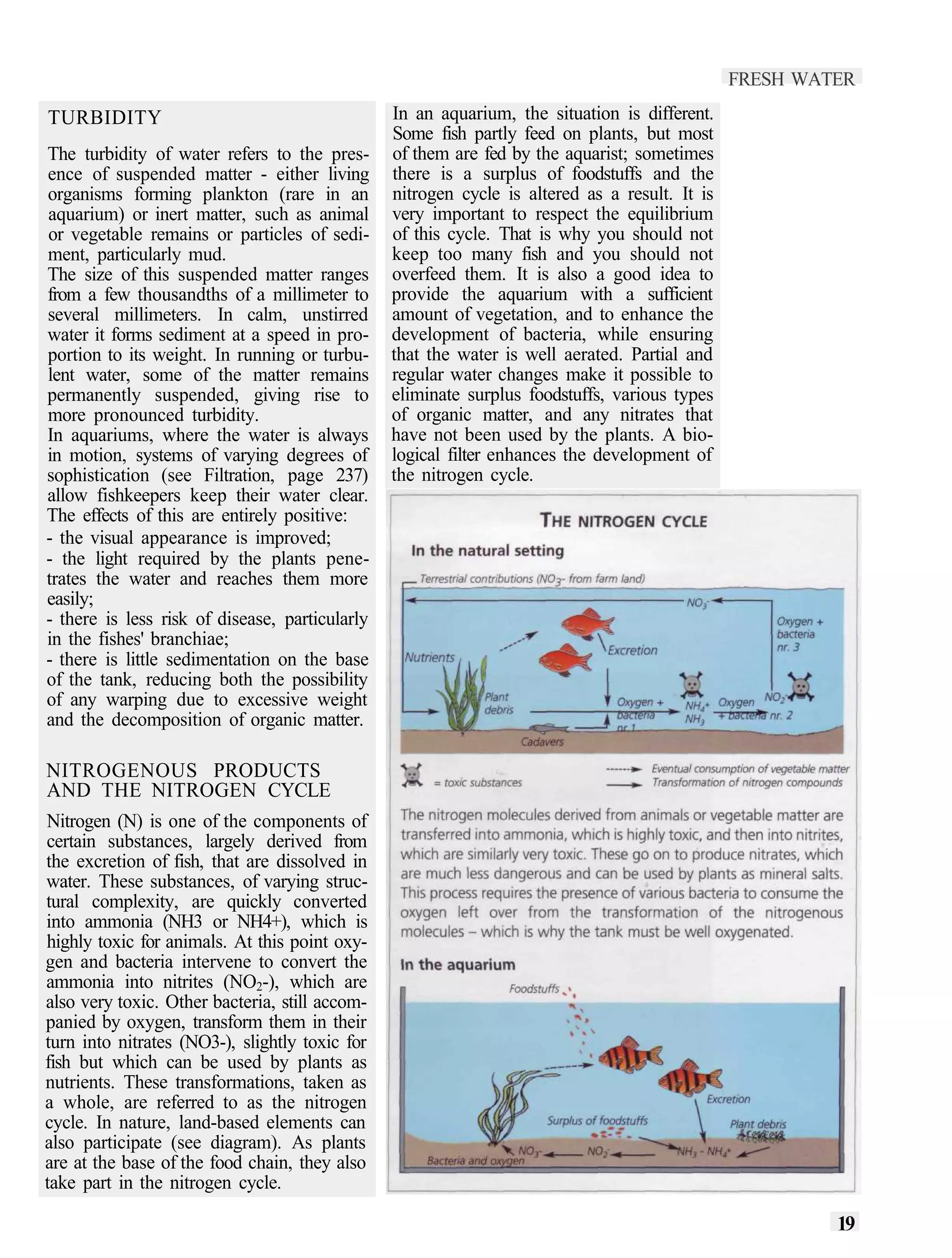 FRESH WATER
TURBIDITY                                       In an aquarium, the situation is different.
                                                Some fish partly feed on plants, but most
The turbidity of water refers to the pres-      of them are fed by the aquarist; sometimes
ence of suspended matter - either living        there is a surplus of foodstuffs and the
organisms forming plankton (rare in an          nitrogen cycle is altered as a result. It is
aquarium) or inert matter, such as animal       very important to respect the equilibrium
or vegetable remains or particles of sedi-      of this cycle. That is why you should not
ment, particularly mud.                         keep too many fish and you should not
The size of this suspended matter ranges        overfeed them. It is also a good idea to
from a few thousandths of a millimeter to       provide the aquarium with a sufficient
several millimeters. In calm, unstirred         amount of vegetation, and to enhance the
water it forms sediment at a speed in pro-      development of bacteria, while ensuring
portion to its weight. In running or turbu-     that the water is well aerated. Partial and
lent water, some of the matter remains          regular water changes make it possible to
permanently suspended, giving rise to           eliminate surplus foodstuffs, various types
more pronounced turbidity.                      of organic matter, and any nitrates that
In aquariums, where the water is always         have not been used by the plants. A bio-
in motion, systems of varying degrees of        logical filter enhances the development of
sophistication (see Filtration, page 237)       the nitrogen cycle.
allow fishkeepers keep their water clear.
The effects of this are entirely positive:
- the visual appearance is improved;
- the light required by the plants pene-
trates the water and reaches them more
easily;
- there is less risk of disease, particularly
in the fishes' branchiae;
- there is little sedimentation on the base
of the tank, reducing both the possibility
of any warping due to excessive weight
and the decomposition of organic matter.

NITROGENOUS PRODUCTS
AND THE NITROGEN CYCLE
Nitrogen (N) is one of the components of
certain substances, largely derived from
the excretion of fish, that are dissolved in
water. These substances, of varying struc-
tural complexity, are quickly converted
into ammonia (NH3 or NH4+), which is
highly toxic for animals. At this point oxy-
gen and bacteria intervene to convert the
ammonia into nitrites (NO2-), which are
also very toxic. Other bacteria, still accom-
panied by oxygen, transform them in their
turn into nitrates (NO3-), slightly toxic for
fish but which can be used by plants as
nutrients. These transformations, taken as
a whole, are referred to as the nitrogen
cycle. In nature, land-based elements can
also participate (see diagram). As plants
are at the base of the food chain, they also
take part in the nitrogen cycle.

                                                                                                        19
 