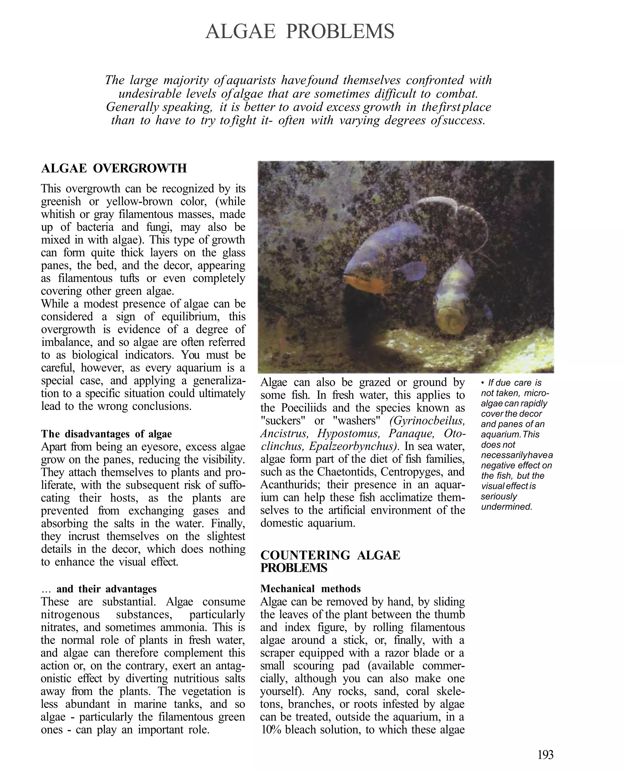 ALGAE PROBLEMS

              The large majority of aquarists have found themselves confronted with
                 undesirable levels of algae that are sometimes difficult to combat.
              Generally speaking, it is better to avoid excess growth in the first place
               than to have to try to fight it- often with varying degrees of success.


ALGAE OVERGROWTH
This overgrowth can be recognized by its
greenish or yellow-brown color, (while
whitish or gray filamentous masses, made
up of bacteria and fungi, may also be
mixed in with algae). This type of growth
can form quite thick layers on the glass
panes, the bed, and the decor, appearing
as filamentous tufts or even completely
covering other green algae.
While a modest presence of algae can be
considered a sign of equilibrium, this
overgrowth is evidence of a degree of
imbalance, and so algae are often referred
to as biological indicators. You must be
careful, however, as every aquarium is a
special case, and applying a generaliza-        Algae can also be grazed or ground by           • If due care is
tion to a specific situation could ultimately   some fish. In fresh water, this applies to      not taken, micro-
lead to the wrong conclusions.                                                                  algae can rapidly
                                                the Poeciliids and the species known as         cover the decor
                                                "suckers" or "washers" (Gyrinocbeilus,          and panes of an
The disadvantages of algae                      Ancistrus, Hypostomus, Panaque, Oto-            aquarium. This
Apart from being an eyesore, excess algae       clinchus, Epalzeorbynchus). In sea water,       does not
                                                                                                necessarily have a
grow on the panes, reducing the visibility.     algae form part of the diet of fish families,   negative effect on
They attach themselves to plants and pro-       such as the Chaetontids, Centropyges, and       the fish, but the
liferate, with the subsequent risk of suffo-    Acanthurids; their presence in an aquar-        visual effect is
cating their hosts, as the plants are           ium can help these fish acclimatize them-       seriously
                                                selves to the artificial environment of the     undermined.
prevented from exchanging gases and
absorbing the salts in the water. Finally,      domestic aquarium.
they incrust themselves on the slightest
details in the decor, which does nothing
to enhance the visual effect.                   COUNTERING ALGAE
                                                PROBLEMS
... and their advantages                        Mechanical methods
These are substantial. Algae consume            Algae can be removed by hand, by sliding
nitrogenous substances, particularly            the leaves of the plant between the thumb
nitrates, and sometimes ammonia. This is        and index figure, by rolling filamentous
the normal role of plants in fresh water,       algae around a stick, or, finally, with a
and algae can therefore complement this         scraper equipped with a razor blade or a
action or, on the contrary, exert an antag-     small scouring pad (available commer-
onistic effect by diverting nutritious salts    cially, although you can also make one
away from the plants. The vegetation is         yourself). Any rocks, sand, coral skele-
less abundant in marine tanks, and so           tons, branches, or roots infested by algae
algae - particularly the filamentous green      can be treated, outside the aquarium, in a
ones - can play an important role.              10% bleach solution, to which these algae

                                                                                                             193
 