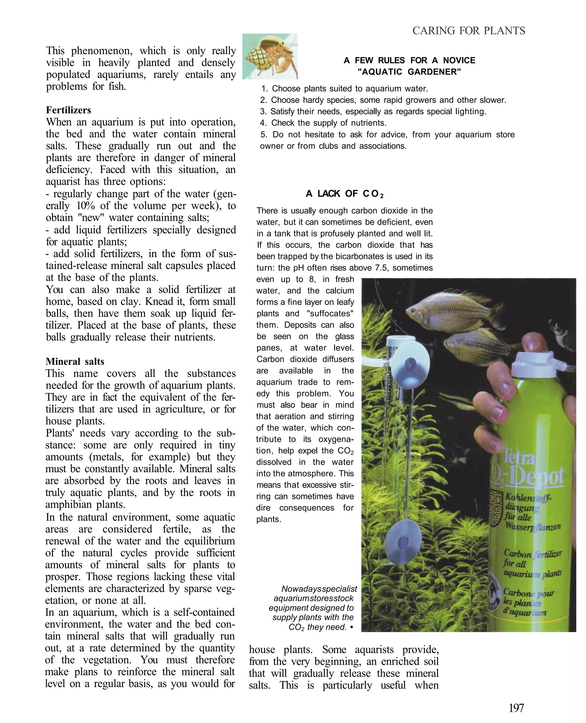 CARING FOR PLANTS
This phenomenon, which is only really
visible in heavily planted and densely                                   A FEW RULES FOR A NOVICE
populated aquariums, rarely entails any                                     "AQUATIC GARDENER"
problems for fish.                                1. Choose plants suited to aquarium water.
                                                  2. Choose hardy species, some rapid growers and other slower.
Fertilizers                                       3. Satisfy their needs, especially as regards special lighting.
When an aquarium is put into operation,           4. Check the supply of nutrients.
the bed and the water contain mineral             5. Do not hesitate to ask for advice, from your aquarium store
salts. These gradually run out and the            owner or from clubs and associations.
plants are therefore in danger of mineral
deficiency. Faced with this situation, an
aquarist has three options:
- regularly change part of the water (gen-                    A LACK OF C O 2
erally 10% of the volume per week), to           There is usually enough carbon dioxide in the
obtain "new" water containing salts;             water, but it can sometimes be deficient, even
- add liquid fertilizers specially designed      in a tank that is profusely planted and well lit.
for aquatic plants;                              If this occurs, the carbon dioxide that has
- add solid fertilizers, in the form of sus-     been trapped by the bicarbonates is used in its
tained-release mineral salt capsules placed      turn: the pH often rises above 7.5, sometimes
at the base of the plants.                       even up to 8, in fresh
You can also make a solid fertilizer at          water, and the calcium
home, based on clay. Knead it, form small        forms a fine layer on leafy
balls, then have them soak up liquid fer-        plants and "suffocates"
tilizer. Placed at the base of plants, these     them. Deposits can also
balls gradually release their nutrients.         be seen on the glass
                                                 panes, at water level.
Mineral salts                                    Carbon dioxide diffusers
This name covers all the substances              are available in the
needed for the growth of aquarium plants.        aquarium trade to rem-
                                                 edy this problem. You
They are in fact the equivalent of the fer-
                                                 must also bear in mind
tilizers that are used in agriculture, or for
                                                 that aeration and stirring
house plants.
                                                 of the water, which con-
Plants' needs vary according to the sub-         tribute to its oxygena-
stance: some are only required in tiny           tion, help expel the CO2
amounts (metals, for example) but they           dissolved in the water
must be constantly available. Mineral salts      into the atmosphere. This
are absorbed by the roots and leaves in          means that excessive stir-
truly aquatic plants, and by the roots in        ring can sometimes have
amphibian plants.                                dire consequences for
In the natural environment, some aquatic         plants.
areas are considered fertile, as the
renewal of the water and the equilibrium
of the natural cycles provide sufficient
amounts of mineral salts for plants to
prosper. Those regions lacking these vital
elements are characterized by sparse veg-              Nowadays specialist
etation, or none at all.                             aquarium stores stock
                                                    equipment designed to
In an aquarium, which is a self-contained            supply plants with the
environment, the water and the bed con-                  CO2 they need. •
tain mineral salts that will gradually run
out, at a rate determined by the quantity       house plants. Some aquarists provide,
of the vegetation. You must therefore           from the very beginning, an enriched soil
make plans to reinforce the mineral salt        that will gradually release these mineral
level on a regular basis, as you would for      salts. This is particularly useful when

                                                                                                               197
 