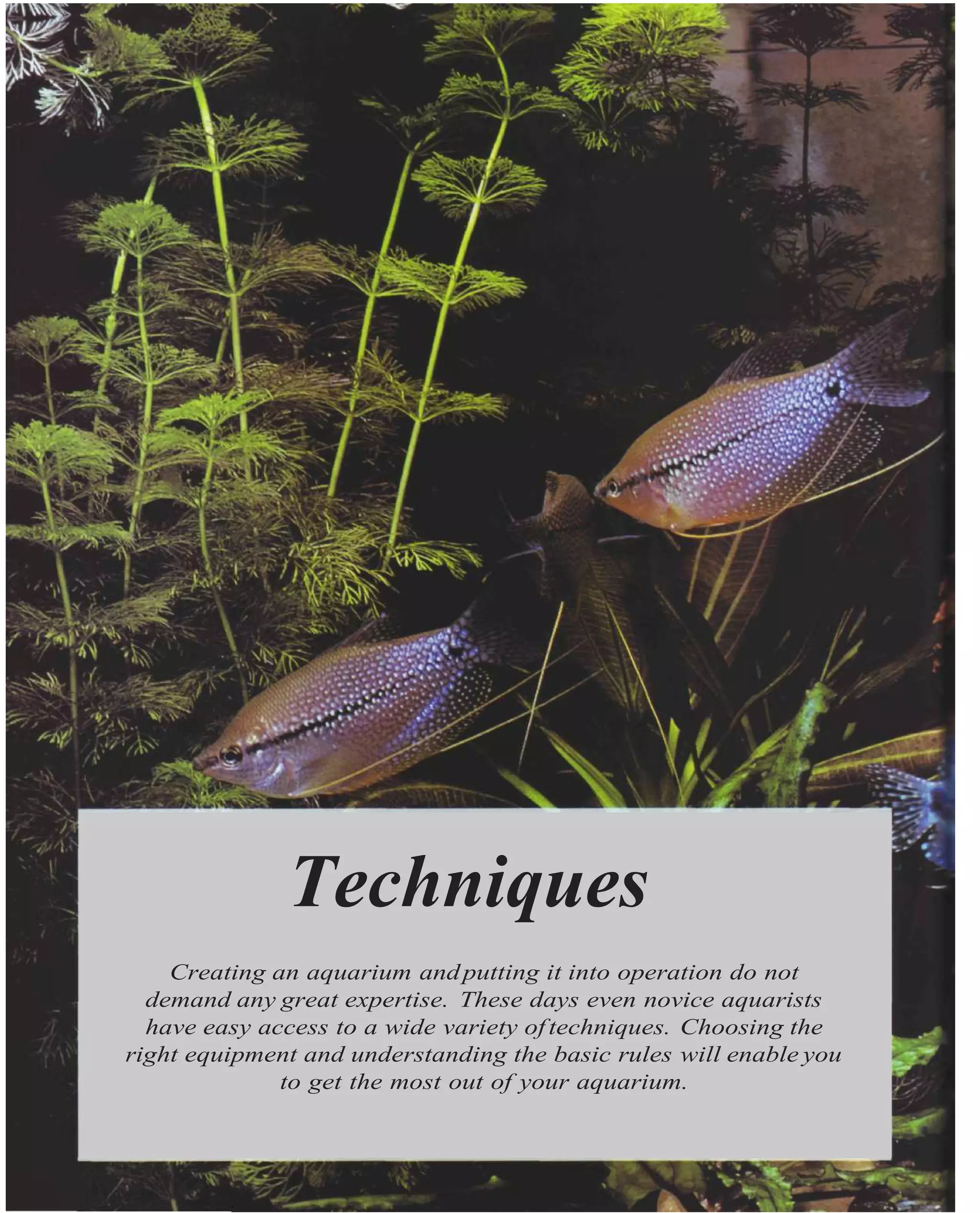 Techniques
    Creating an aquarium and putting it into operation do not
  demand any great expertise. These days even novice aquarists
  have easy access to a wide variety of techniques. Choosing the
right equipment and understanding the basic rules will enable you
              to get the most out of your aquarium.
 