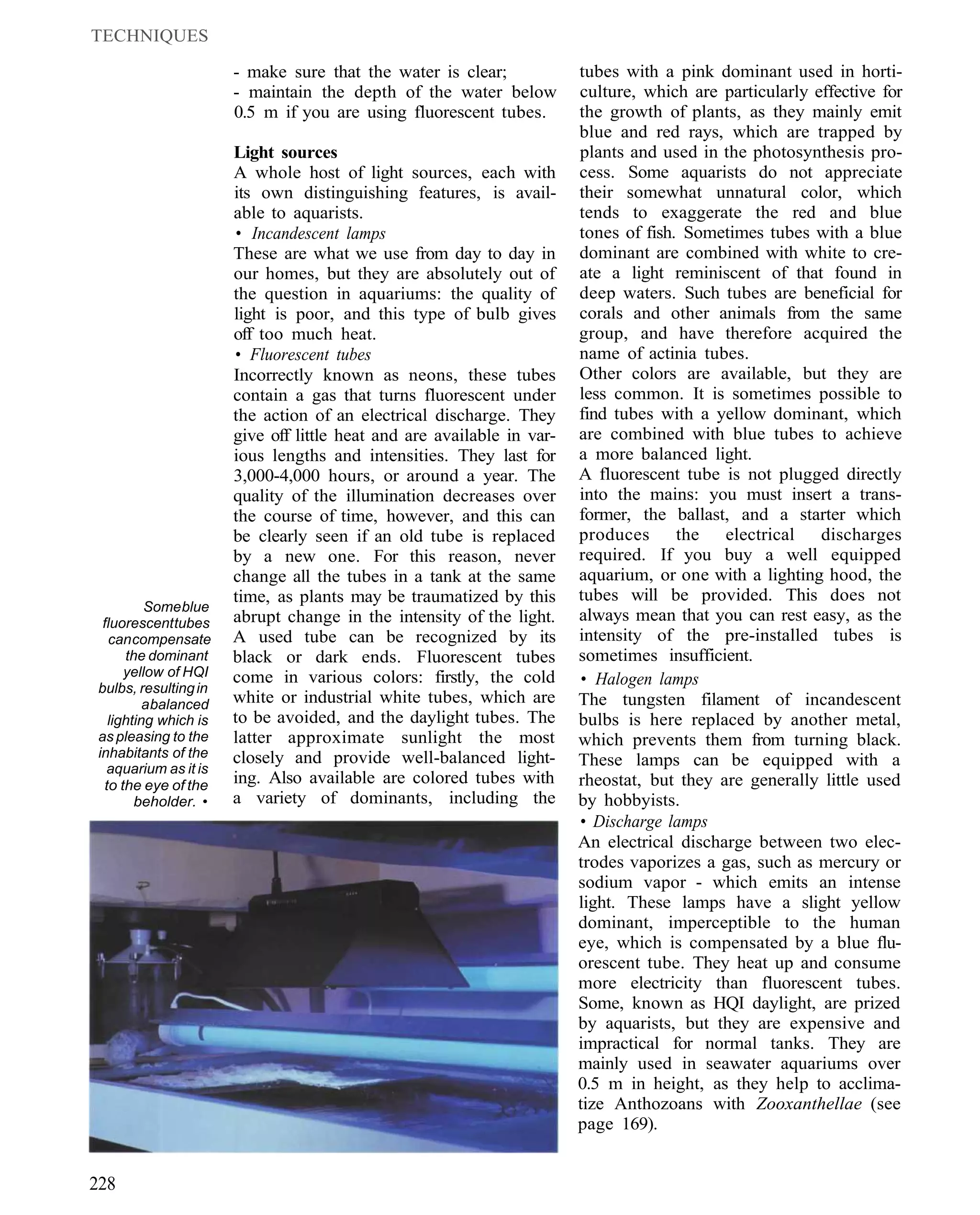 TECHNIQUES

                       - make sure that the water is clear;             tubes with a pink dominant used in horti-
                       - maintain the depth of the water below          culture, which are particularly effective for
                       0.5 m if you are using fluorescent tubes.        the growth of plants, as they mainly emit
                                                                        blue and red rays, which are trapped by
                       Light sources                                    plants and used in the photosynthesis pro-
                       A whole host of light sources, each with         cess. Some aquarists do not appreciate
                       its own distinguishing features, is avail-       their somewhat unnatural color, which
                       able to aquarists.                               tends to exaggerate the red and blue
                        • Incandescent lamps                            tones of fish. Sometimes tubes with a blue
                       These are what we use from day to day in         dominant are combined with white to cre-
                       our homes, but they are absolutely out of        ate a light reminiscent of that found in
                       the question in aquariums: the quality of        deep waters. Such tubes are beneficial for
                       light is poor, and this type of bulb gives       corals and other animals from the same
                       off too much heat.                               group, and have therefore acquired the
                       • Fluorescent tubes                              name of actinia tubes.
                       Incorrectly known as neons, these tubes          Other colors are available, but they are
                       contain a gas that turns fluorescent under       less common. It is sometimes possible to
                       the action of an electrical discharge. They      find tubes with a yellow dominant, which
                       give off little heat and are available in var-   are combined with blue tubes to achieve
                       ious lengths and intensities. They last for      a more balanced light.
                       3,000-4,000 hours, or around a year. The         A fluorescent tube is not plugged directly
                       quality of the illumination decreases over       into the mains: you must insert a trans-
                       the course of time, however, and this can        former, the ballast, and a starter which
                       be clearly seen if an old tube is replaced       produces the electrical discharges
                       by a new one. For this reason, never             required. If you buy a well equipped
                       change all the tubes in a tank at the same       aquarium, or one with a lighting hood, the
                       time, as plants may be traumatized by this       tubes will be provided. This does not
          Some blue
  fluorescent tubes    abrupt change in the intensity of the light.     always mean that you can rest easy, as the
   can compensate      A used tube can be recognized by its             intensity of the pre-installed tubes is
      the dominant     black or dark ends. Fluorescent tubes            sometimes insufficient.
      yellow of HQI    come in various colors: firstly, the cold
 bulbs, resulting in
                                                                         • Halogen lamps
          a balanced   white or industrial white tubes, which are       The tungsten filament of incandescent
   lighting which is   to be avoided, and the daylight tubes. The       bulbs is here replaced by another metal,
 as pleasing to the    latter approximate sunlight the most             which prevents them from turning black.
 inhabitants of the    closely and provide well-balanced light-
   aquarium as it is
                                                                        These lamps can be equipped with a
  to the eye of the    ing. Also available are colored tubes with       rheostat, but they are generally little used
        beholder. •    a variety of dominants, including the            by hobbyists.
                                                                        • Discharge lamps
                                                                        An electrical discharge between two elec-
                                                                        trodes vaporizes a gas, such as mercury or
                                                                        sodium vapor - which emits an intense
                                                                        light. These lamps have a slight yellow
                                                                        dominant, imperceptible to the human
                                                                        eye, which is compensated by a blue flu-
                                                                        orescent tube. They heat up and consume
                                                                        more electricity than fluorescent tubes.
                                                                        Some, known as HQI daylight, are prized
                                                                        by aquarists, but they are expensive and
                                                                        impractical for normal tanks. They are
                                                                        mainly used in seawater aquariums over
                                                                        0.5 m in height, as they help to acclima-
                                                                        tize Anthozoans with Zooxanthellae (see
                                                                        page 169).


228
 