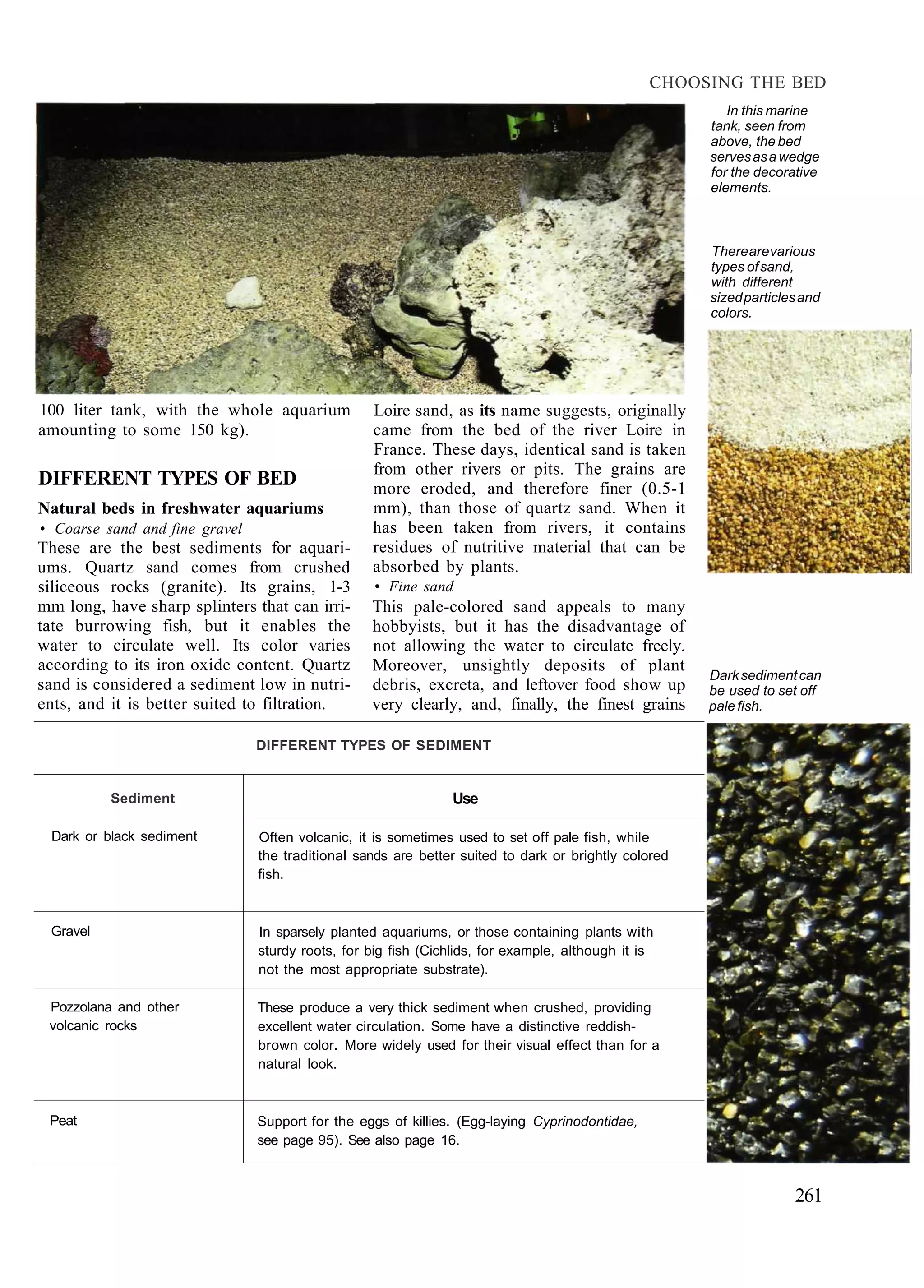 CHOOSING THE BED
                                                                                                         In this marine
                                                                                                      tank, seen from
                                                                                                      above, the bed
                                                                                                      serves as a wedge
                                                                                                      for the decorative
                                                                                                      elements.



                                                                                                      There are various
                                                                                                      types of sand,
                                                                                                      with different
                                                                                                      sized particles and
                                                                                                      colors.




100 liter tank, with the whole aquarium           Loire sand, as its name suggests, originally
amounting to some 150 kg).                        came from the bed of the river Loire in
                                                  France. These days, identical sand is taken
                                                  from other rivers or pits. The grains are
DIFFERENT TYPES OF BED                            more eroded, and therefore finer (0.5-1
Natural beds in freshwater aquariums              mm), than those of quartz sand. When it
• Coarse sand and fine gravel                     has been taken from rivers, it contains
These are the best sediments for aquari-          residues of nutritive material that can be
ums. Quartz sand comes from crushed               absorbed by plants.
siliceous rocks (granite). Its grains, 1-3         • Fine sand
mm long, have sharp splinters that can irri-      This pale-colored sand appeals to many
tate burrowing fish, but it enables the           hobbyists, but it has the disadvantage of
water to circulate well. Its color varies         not allowing the water to circulate freely.
according to its iron oxide content. Quartz       Moreover, unsightly deposits of plant
                                                                                                      Dark sediment can
sand is considered a sediment low in nutri-       debris, excreta, and leftover food show up          be used to set off
ents, and it is better suited to filtration.      very clearly, and, finally, the finest grains       pale fish.

                                DIFFERENT TYPES OF SEDIMENT


          Sediment                                             Use

 Dark or black sediment         Often volcanic, it is sometimes used to set off pale fish, while
                                the traditional sands are better suited to dark or brightly colored
                                fish.



 Gravel                         In sparsely planted aquariums, or those containing plants with
                                sturdy roots, for big fish (Cichlids, for example, although it is
                                not the most appropriate substrate).

 Pozzolana and other            These produce a very thick sediment when crushed, providing
 volcanic rocks                 excellent water circulation. Some have a distinctive reddish-
                                brown color. More widely used for their visual effect than for a
                                natural look.



 Peat                           Support for the eggs of killies. (Egg-laying Cyprinodontidae,
                                see page 95). See also page 16.



                                                                                                                    261
 