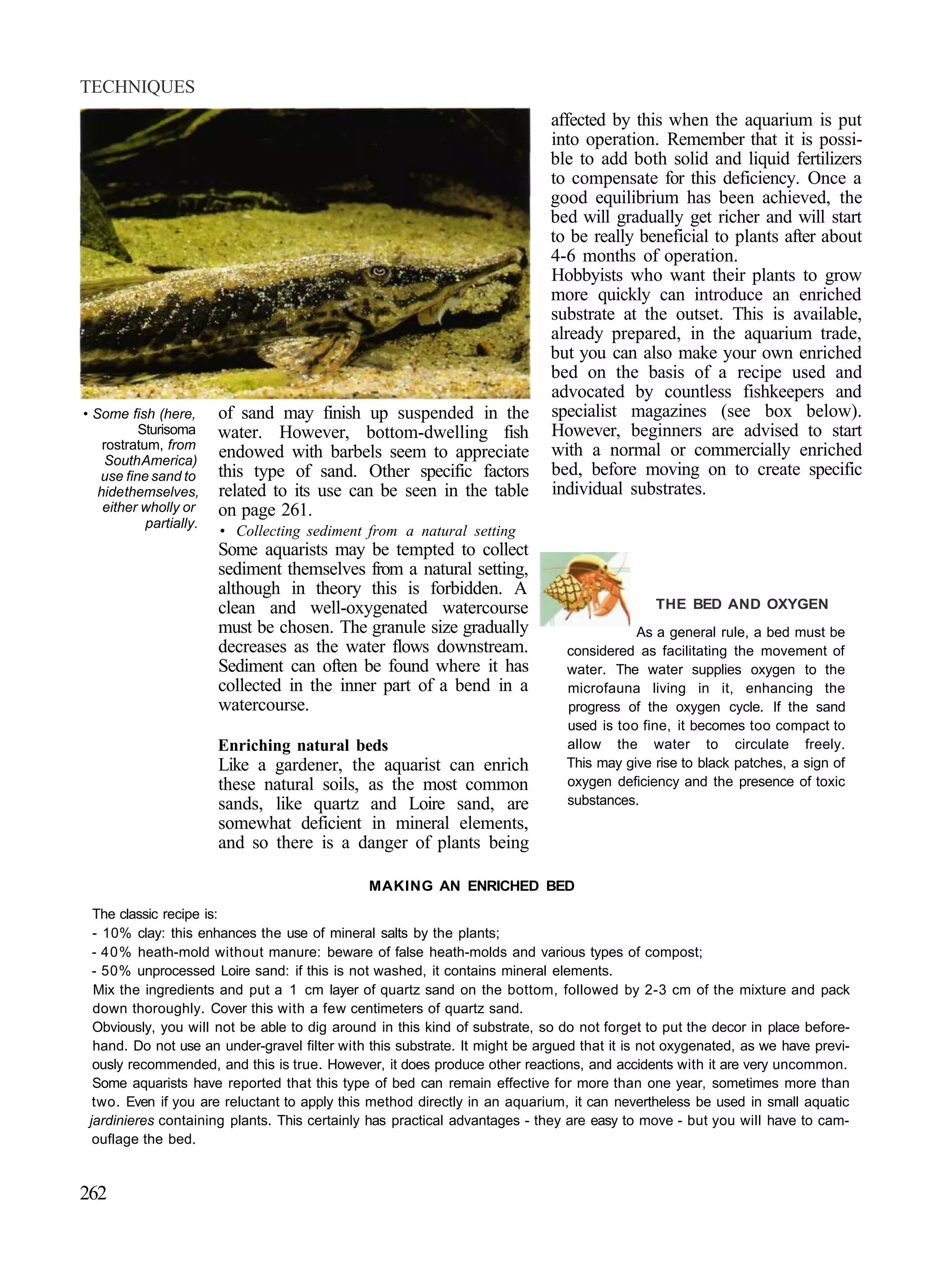 TECHNIQUES
                                                                            affected by this when the aquarium is put
                                                                            into operation. Remember that it is possi-
                                                                            ble to add both solid and liquid fertilizers
                                                                            to compensate for this deficiency. Once a
                                                                            good equilibrium has been achieved, the
                                                                            bed will gradually get richer and will start
                                                                            to be really beneficial to plants after about
                                                                            4-6 months of operation.
                                                                            Hobbyists who want their plants to grow
                                                                            more quickly can introduce an enriched
                                                                            substrate at the outset. This is available,
                                                                            already prepared, in the aquarium trade,
                                                                            but you can also make your own enriched
                                                                            bed on the basis of a recipe used and
                                                                            advocated by countless fishkeepers and
• Some fish (here,       of sand may finish up suspended in the             specialist magazines (see box below).
          Sturisoma      water. However, bottom-dwelling fish               However, beginners are advised to start
    rostratum, from                                                         with a normal or commercially enriched
    South America)
                         endowed with barbels seem to appreciate
   use fine sand to      this type of sand. Other specific factors          bed, before moving on to create specific
   hide themselves,      related to its use can be seen in the table        individual substrates.
    either wholly or     on page 261.
            partially.
                         • Collecting sediment from a natural setting
                         Some aquarists may be tempted to collect
                         sediment themselves from a natural setting,
                         although in theory this is forbidden. A
                         clean and well-oxygenated watercourse                                THE BED AND OXYGEN
                         must be chosen. The granule size gradually                       As a general rule, a bed must be
                         decreases as the water flows downstream.              considered as facilitating the movement of
                         Sediment can often be found where it has              water. The water supplies oxygen to the
                         collected in the inner part of a bend in a            microfauna living in it, enhancing the
                         watercourse.                                          progress of the oxygen cycle. If the sand
                                                                               used is too fine, it becomes too compact to
                         Enriching natural beds                                allow the water to circulate freely.
                         Like a gardener, the aquarist can enrich              This may give rise to black patches, a sign of
                         these natural soils, as the most common               oxygen deficiency and the presence of toxic
                         sands, like quartz and Loire sand, are                substances.
                         somewhat deficient in mineral elements,
                         and so there is a danger of plants being

                                               MAKING AN ENRICHED BED
  The classic recipe is:
  - 10% clay: this enhances the use of mineral salts by the plants;
  - 40% heath-mold without manure: beware of false heath-molds and various types of compost;
  - 50% unprocessed Loire sand: if this is not washed, it contains mineral elements.
  Mix the ingredients and put a 1 cm layer of quartz sand on the bottom, followed by 2-3 cm of the mixture and pack
  down thoroughly. Cover this with a few centimeters of quartz sand.
  Obviously, you will not be able to dig around in this kind of substrate, so do not forget to put the decor in place before-
  hand. Do not use an under-gravel filter with this substrate. It might be argued that it is not oxygenated, as we have previ-
  ously recommended, and this is true. However, it does produce other reactions, and accidents with it are very uncommon.
  Some aquarists have reported that this type of bed can remain effective for more than one year, sometimes more than
  two. Even if you are reluctant to apply this method directly in an aquarium, it can nevertheless be used in small aquatic
 jardinieres containing plants. This certainly has practical advantages - they are easy to move - but you will have to cam-
  ouflage the bed.


262
 